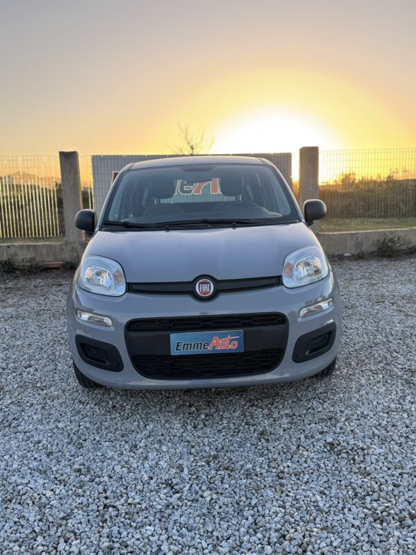 Fiat Panda 1.0 FireFly S&S Hybrid - immagine 2