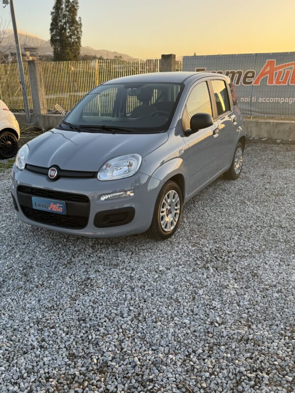 Fiat Panda 1.0 FireFly S&S Hybrid - immagine 3