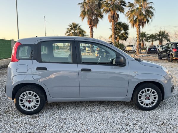 Fiat Panda 1.0 FireFly S&S Hybrid - immagine 4