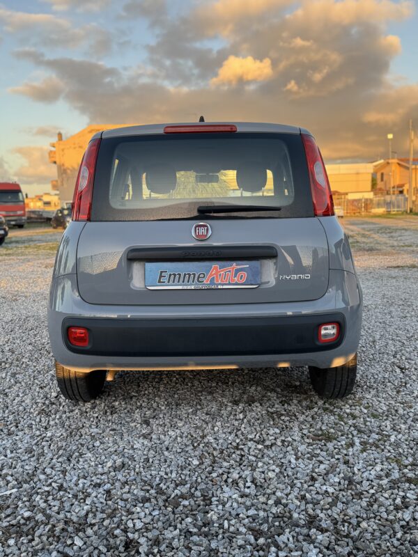 Fiat Panda 1.0 FireFly S&S Hybrid - immagine 6