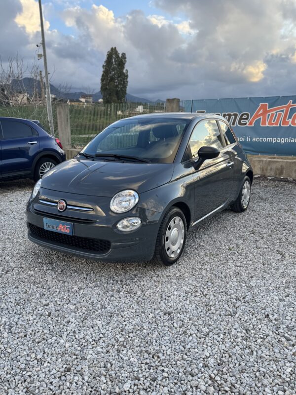 500 1.0 GSE HYBRID CULT - immagine 3